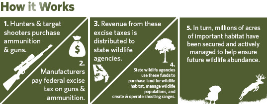 Illustration showing how money made from the Georgia Wildlife Restoration Program is used.