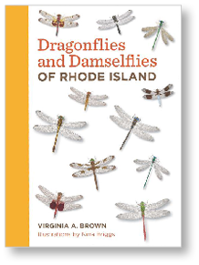 Book cover or Dragonflies and Damselflies of Rhode Island.