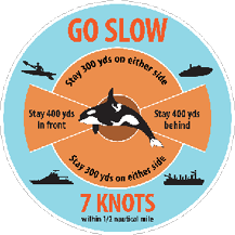 Diagram for boaters of proper distance and speed to protect whales.