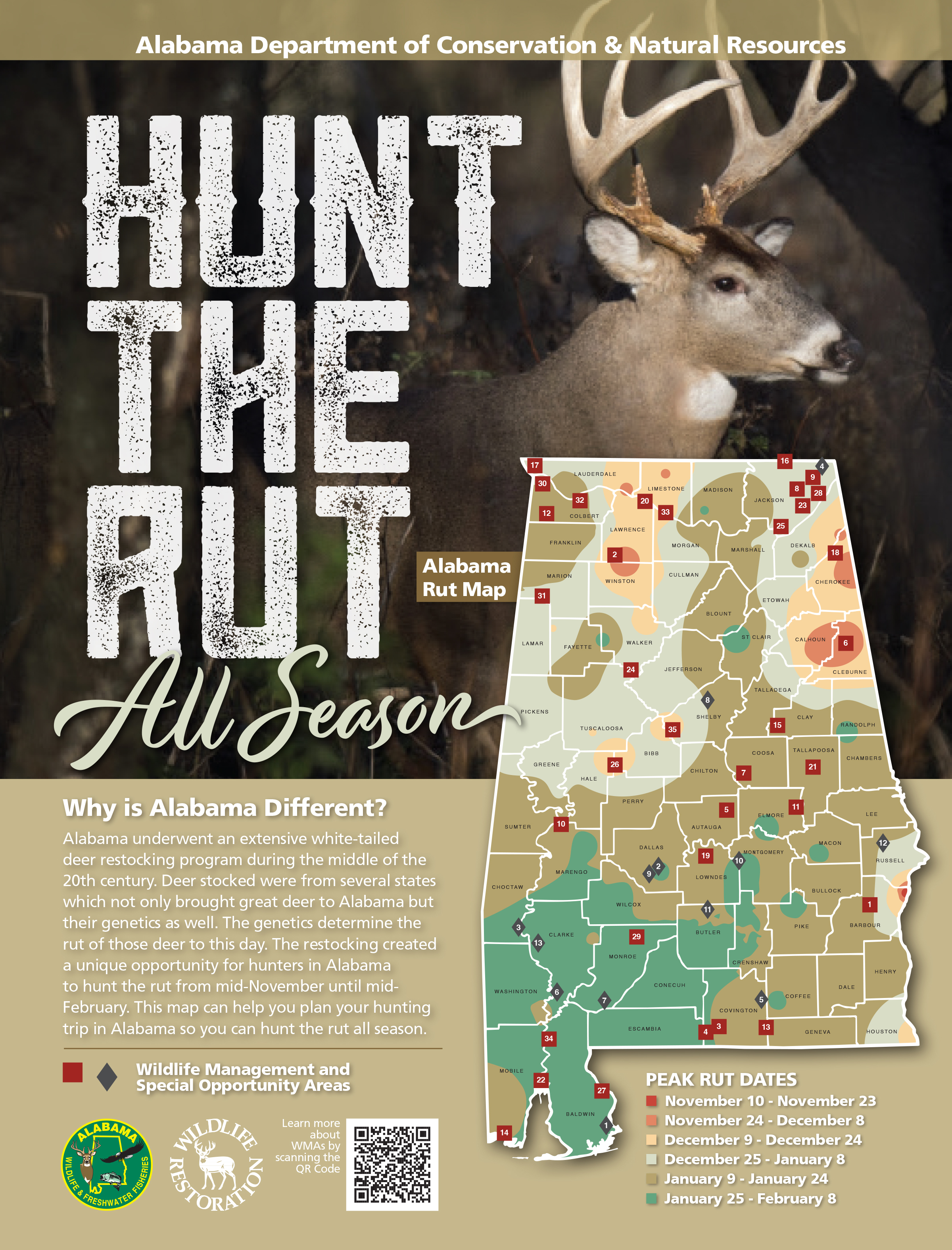 Alabama White-tailed Deer Rut Dates and Map