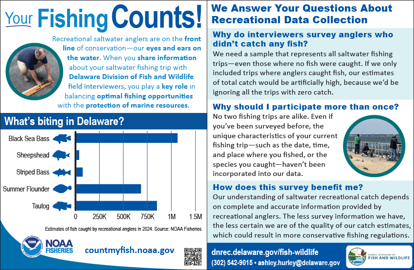 Informational graphic explaining recreational fishing data collection in Delaware, including why anglers are surveyed and which fish species are most commonly caught.
