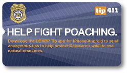 Help Fight Poaching Tip 411 Image