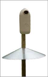 Bellrose-style nest box mounted on a wooden pole with a metal predator guard, used for protecting nesting waterfowl like wood ducks.