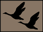 Silhouette icon of two ducks in flight representing migratory bird hunting, used for the Delaware HIP (Harvest Information Program) logo.