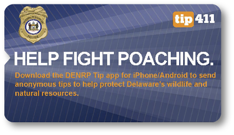Graphic promoting Delaware’s tip411 program to report poaching anonymously via the DENRP Tip app, featuring a police badge and instructions.