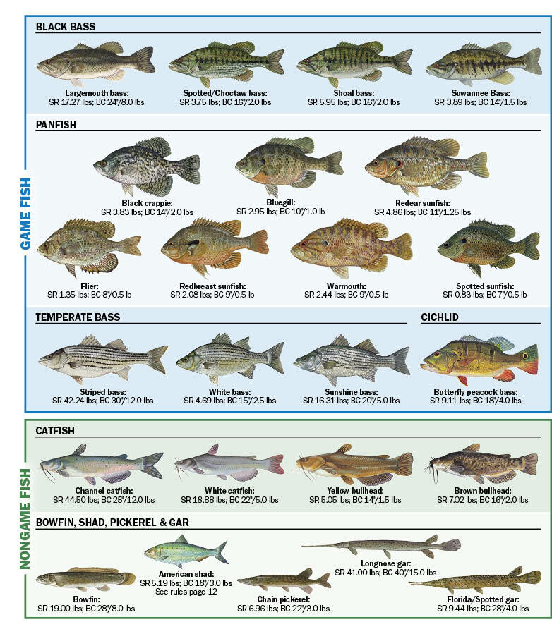 Freshwater Fish of Florida - Florida Freshwater Fishing