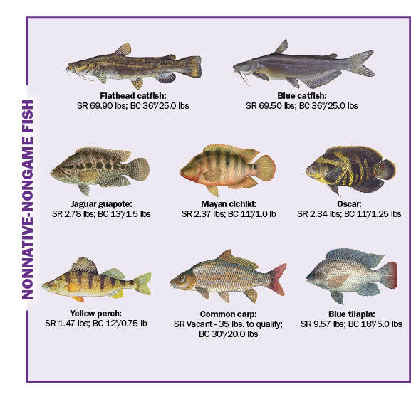 Florida Nonnative Nongame Fish
