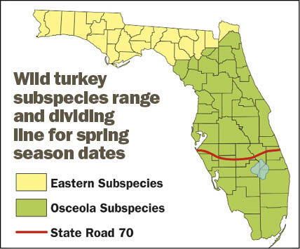Florida wild turkey subspecies range and dividing line for spring season dates map.