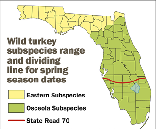 Map of Florida showing the range of wild turkey subspecies, including Eastern and Osceola, with a red line indicating State Road 70 as the dividing line for spring season dates.
