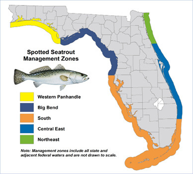 Spotted Seatrout Management Zones Map