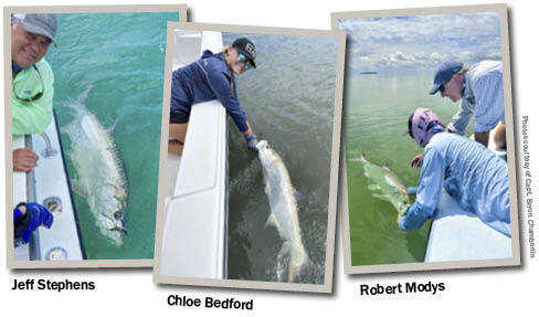 Images of anglers properly handling and releasing tarpon back into the water.