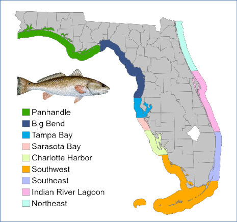 Red Drum Management Zone Map