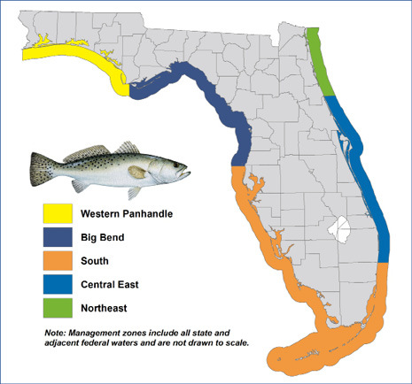 Spotted Seatrout Management Zones Map
