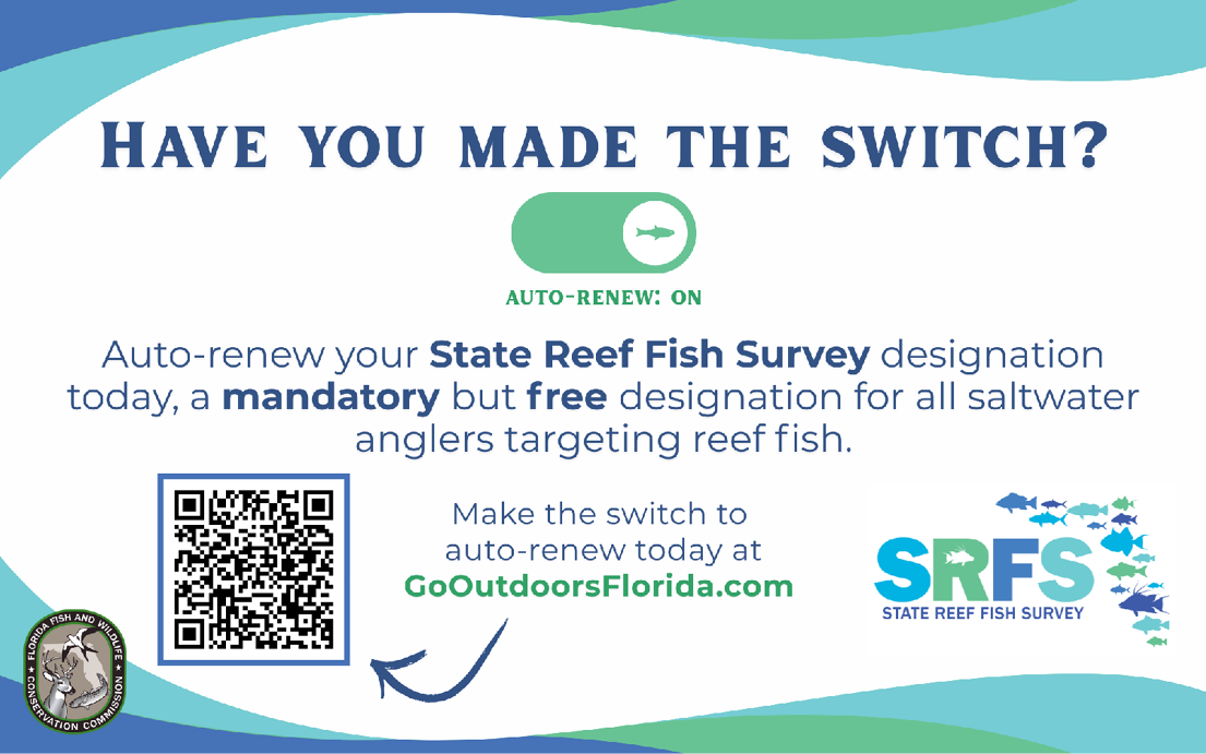 State Reef Fish Survey auto-renew reminder flyer with QR code. Encourages saltwater anglers targeting reef fish to switch to free, mandatory auto-renew at GoOutdoorsFlorida.com.