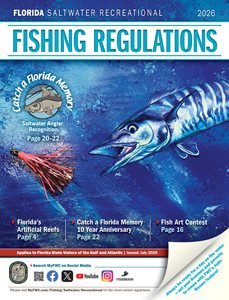 bottom fishing east coast of florida hook rules 36" Folding Ruler with Florida's Atlantic and Gulf Guidelines Salty Bones Florida Saltwater Fishing Seasons &