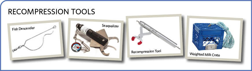 Photos of Recompression Tools