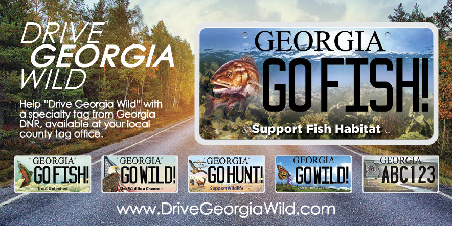 Drive Georgia Wild License Plate Graphic