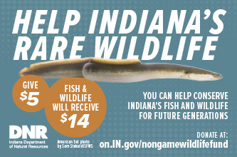 Help Indiana's Rare Wildlife Information