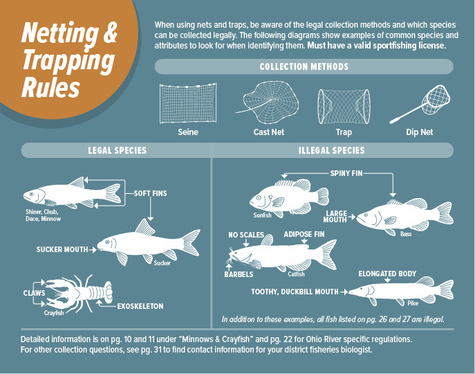 Netting & Trapping Regulations - Indiana Fishing