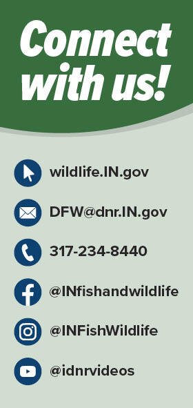 Indiana Department of Natural Resources contact information social media accounts for Indiana Fish and Wildlife. graphic listing