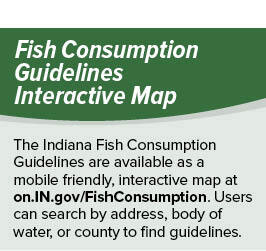 Indiana Fish Consumption Guidelines Interactive Map graphic directing users to on.IN.gov/FishConsumption to search advisories by address, waterbody, or county.