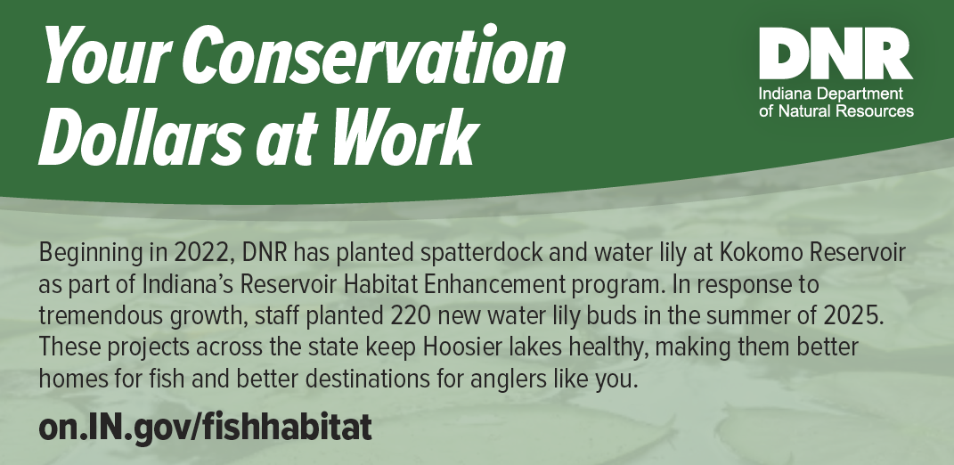 Indiana DNR graphic titled “Your Conservation Dollars at Work” describing habitat enhancement projects at Kokomo Reservoir, including planting water lilies and spatterdock to improve fish habitat.