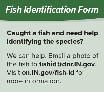 Indiana DNR Fish Identification Form graphic directing anglers to email fishid@dnr.IN.gov or visit on.IN.gov/fish-id for help identifying a fish species.