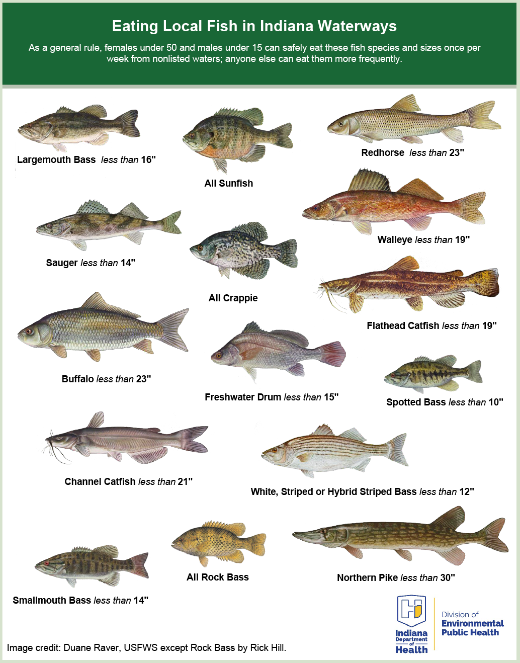 Indiana Fish Consumption Guidelines graphic listing fish species and size limits that can be safely eaten from Indiana waterways, including bass, crappie, catfish, walleye, pike, and sunfish.