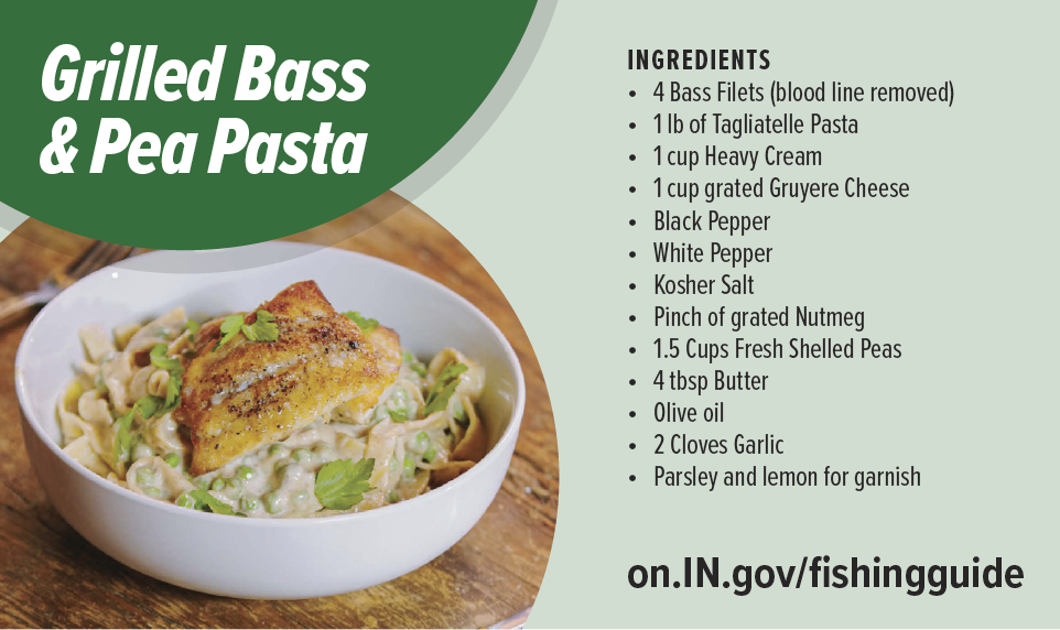 Indiana DNR recipe graphic for Grilled Bass and Pea Pasta showing a plated bass fillet over creamy pasta with ingredient list.