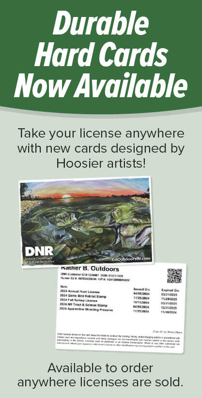 Indiana DNR graphic announcing durable hard cards now available for hunting and fishing licenses, featuring a sample license card with fish artwork by Hoosier artists.