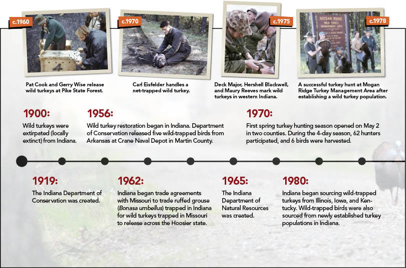 Turkey Timeline graphic 1 of 2