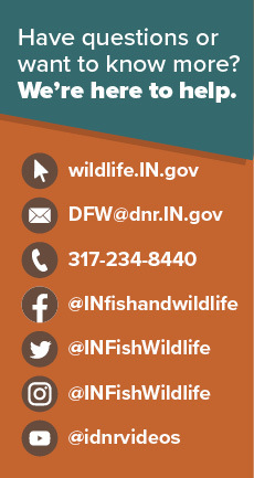 Indiana DNR contact information graphic