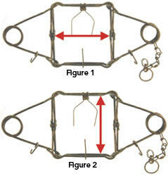 Image showing where to measure body-gripping traps.
