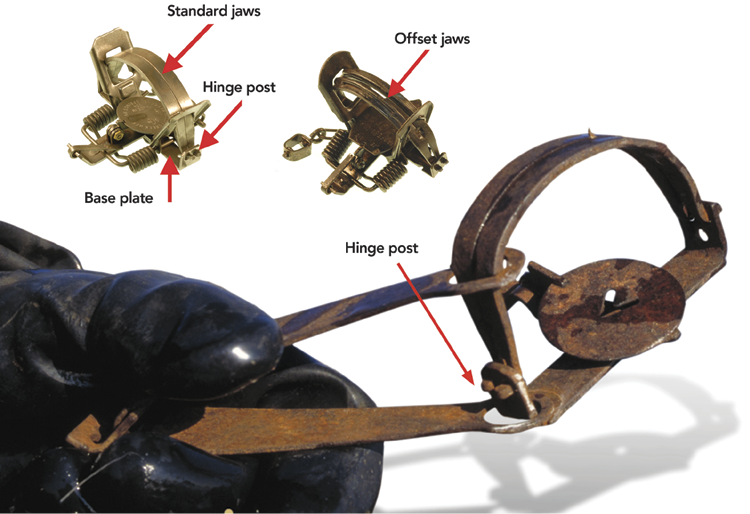 Foothold Trap Diagram
