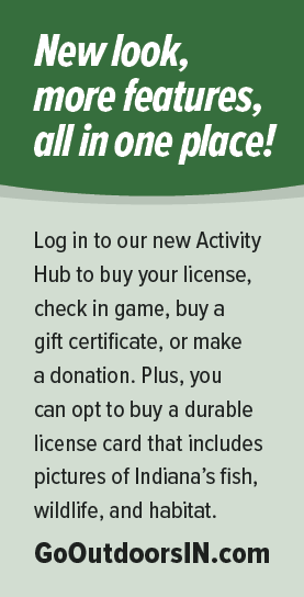Activity Hub Information