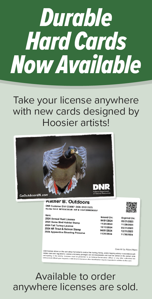 A bird is shown on a card, with the words 
