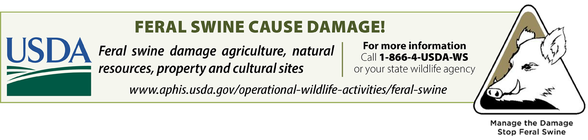 Feral Swine cause damage to agriculture, natural resources, property and cultural sites. For more information, contact your state wildlife agency.