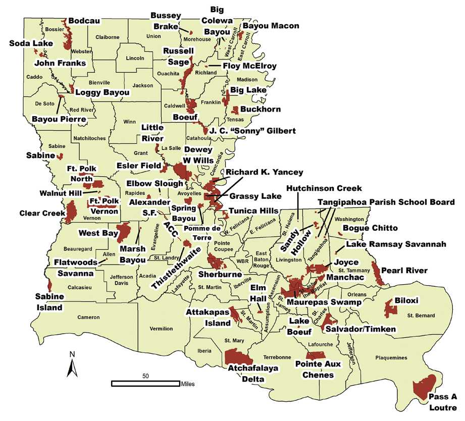 Map of Wildlife Management Areas in Louisiana