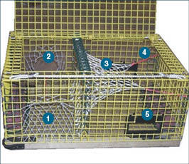 Image identifying the anatomy of a lobster trap.