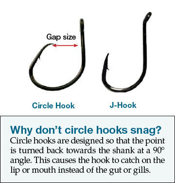 Image showing the difference in gap size between a circle hook and J hook.
