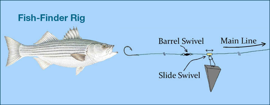 Illustration of a fish-finder rig for bait fishing.