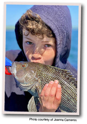 Child wearing a hoodie holding a freshly caught black sea bass on a sunny day while fishing in Massachusetts coastal waters. The child looks at the camera while gently gripping the fish, showcasing a successful saltwater fishing experience.