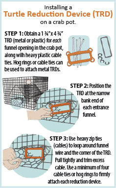 Steps for Installing a Turtle Reduction Device (TRD) on a Crab Pot