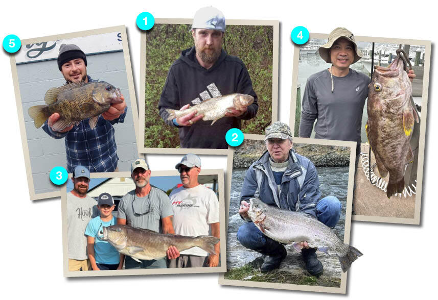 Photos of 2024 Maryland State Record Fish