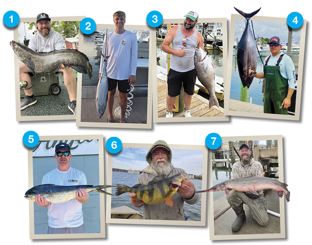 Collage of seven anglers holding Maryland state record fish, including freshwater and saltwater species, each image numbered to represent different record catches.