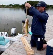 Angler kneeling on a dock measuring a largemouth bass with a measuring board beside a boat on a calm Maryland waterway.