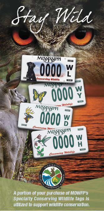 Mississippi Department of Wildlife License Plates