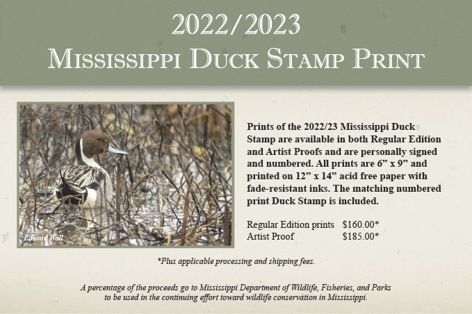 2022/2023 Mississipi Duck Stamp Print