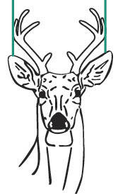 Diagram of how to measure antlers to estimate a minimum inside spread of 10 inches