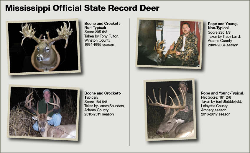 Mississippi Official State Record Deer
